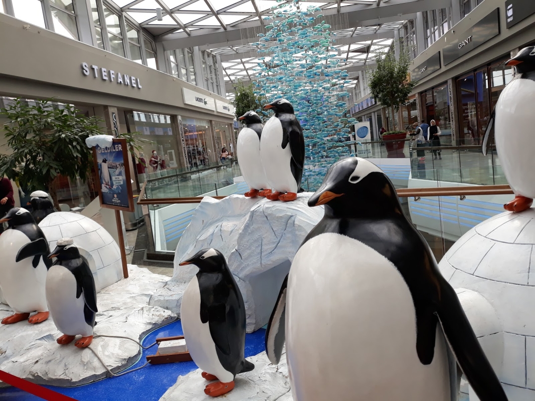 Aquarium & Aqua Florya Shopping Mall Tour Istanbul – Family-Friendly Marine Adventure photo 8