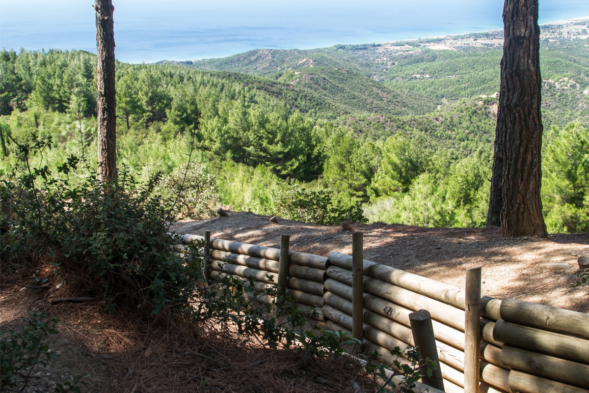 Gallipoli Day Trip from Istanbul photo 5