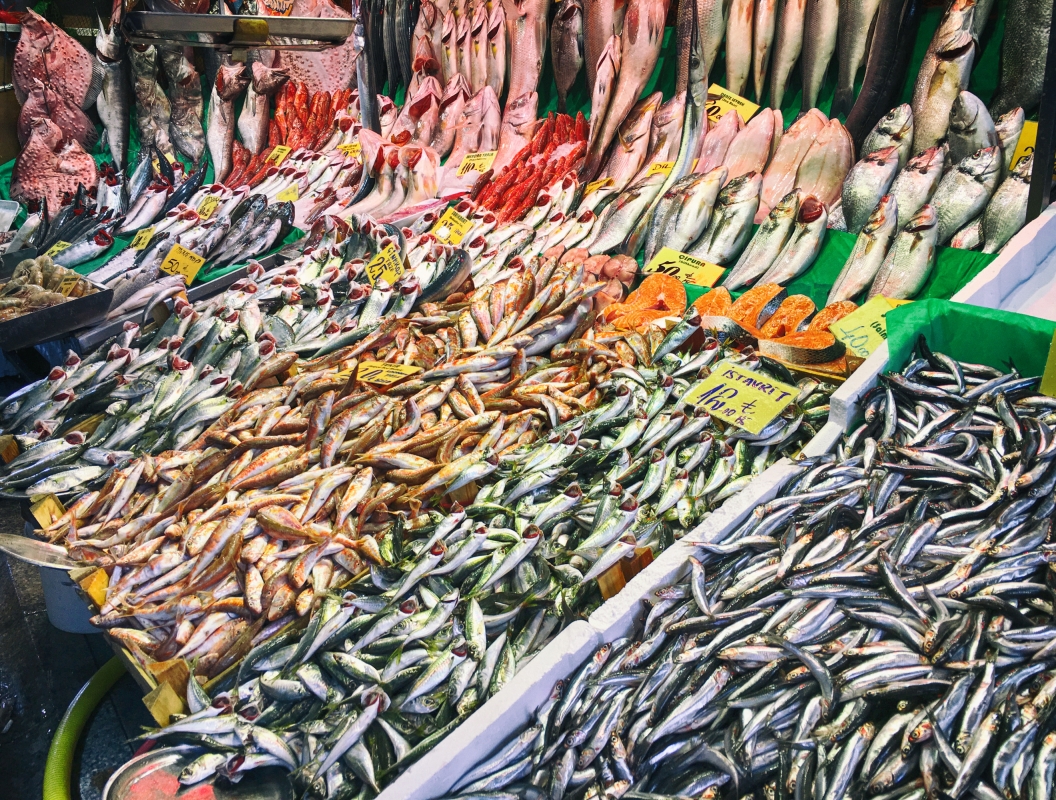 Local Life of Istanbul Tour – Explore Kadıköy, Moda & Authentic Local Experiences photo 10
