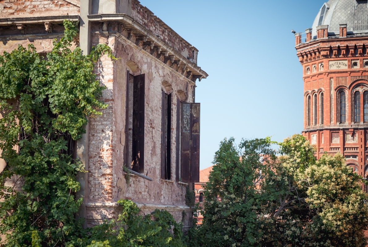 Balat Walking Tour – Explore Colorful Streets, Synagogues & Byzantine Ruins in Istanbul photo 5