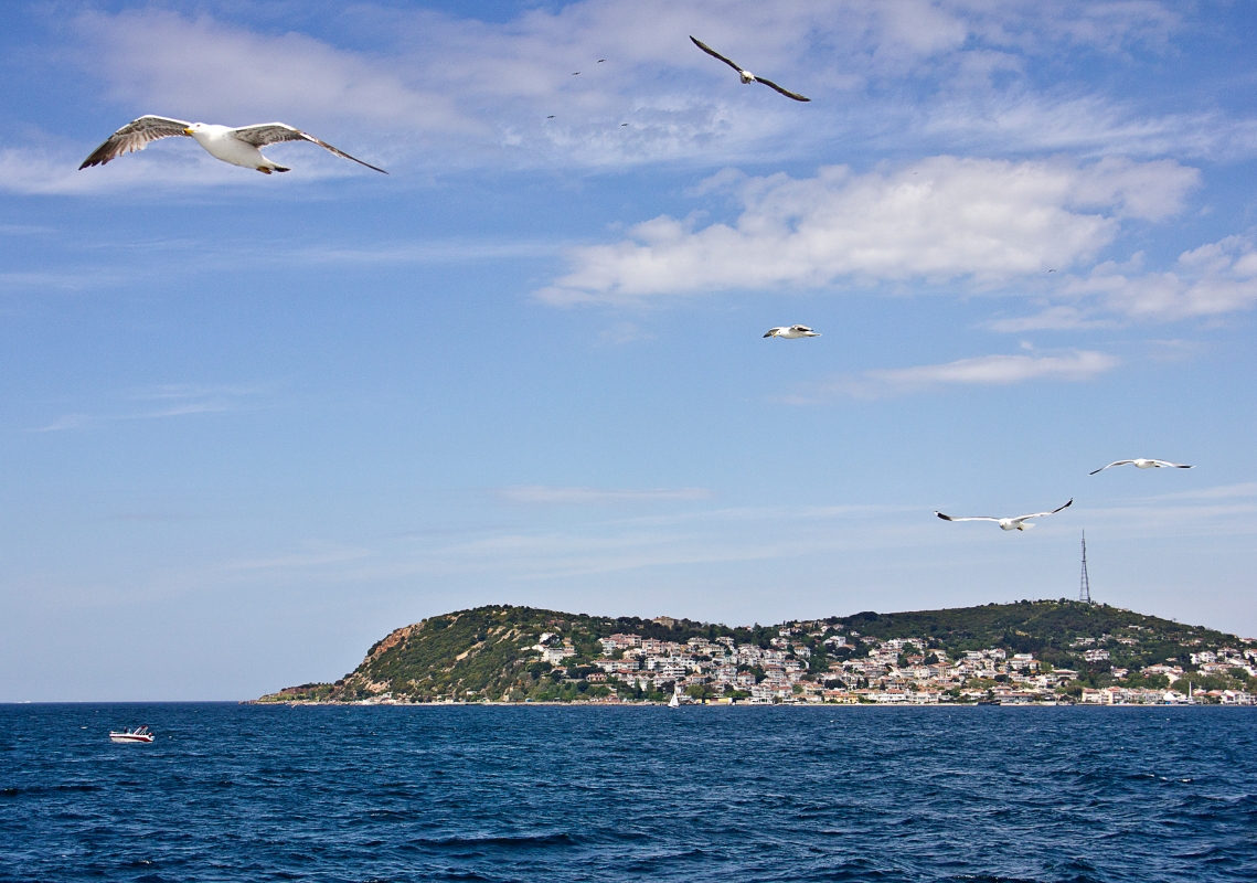 Bosphorus & Princes’ Islands Private Yacht Tour – Full-Day Istanbul Cruise photo 2