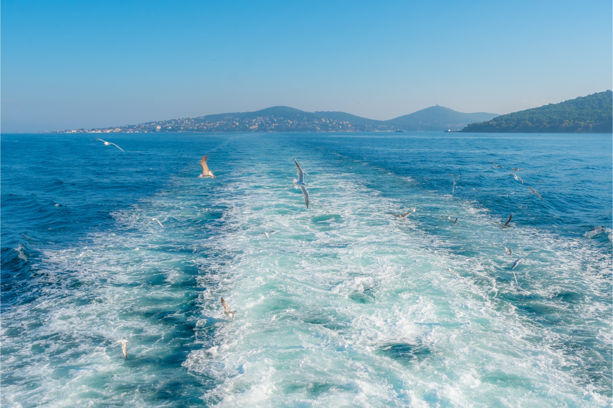 Bosphorus & Princes’ Islands Private Yacht Tour – Full-Day Istanbul Cruise photo 3