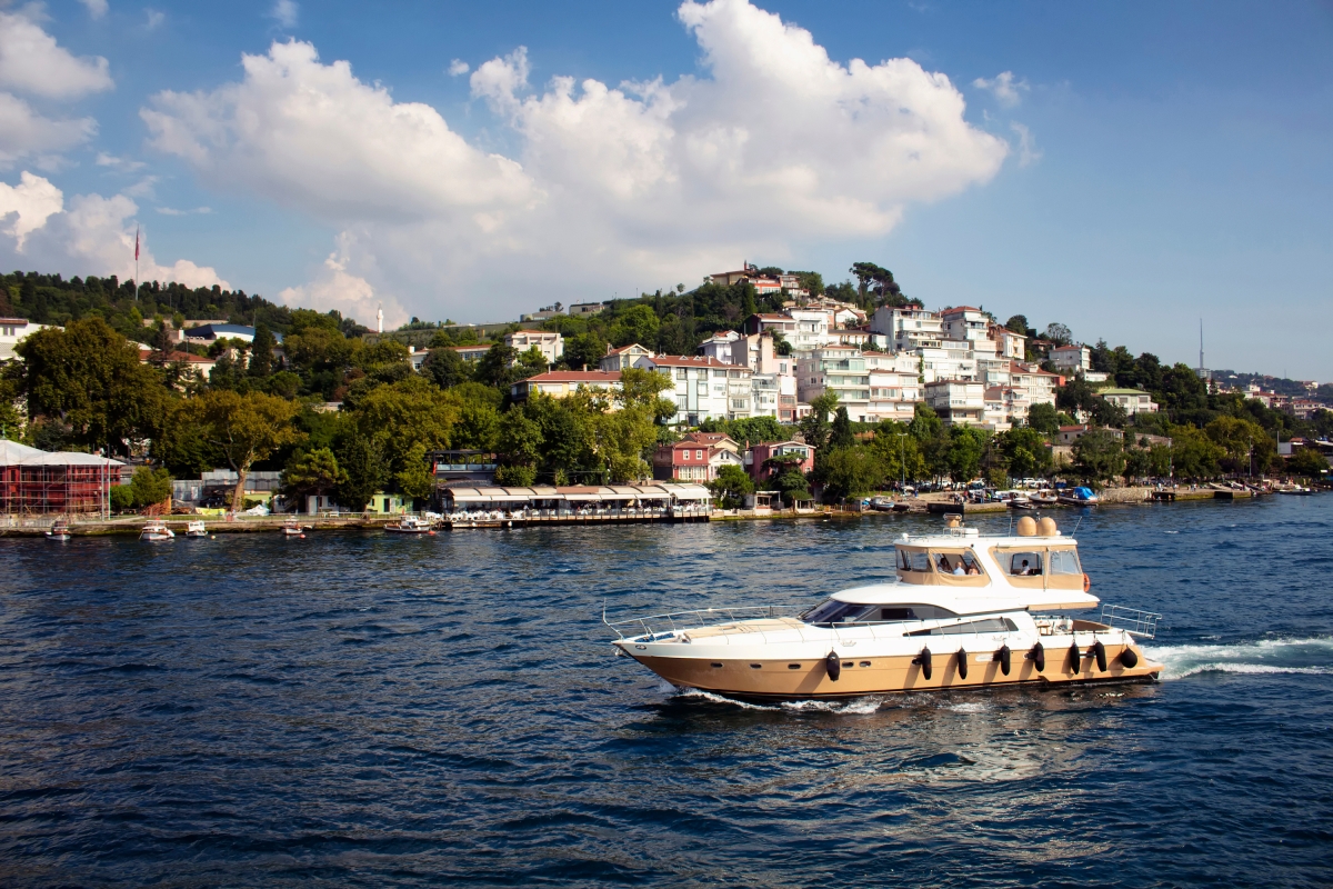 Private Prince's Island Tour With Private Yacht 6 Hours photo 1