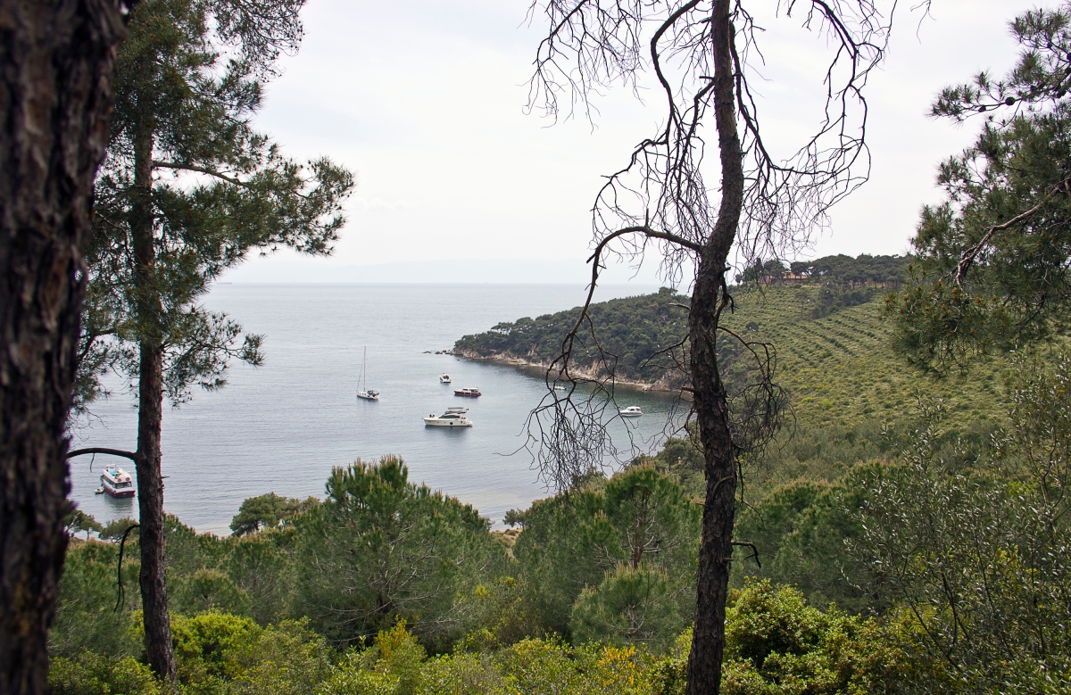 Private Prince's Island Tour With Private Yacht 6 Hours photo 8