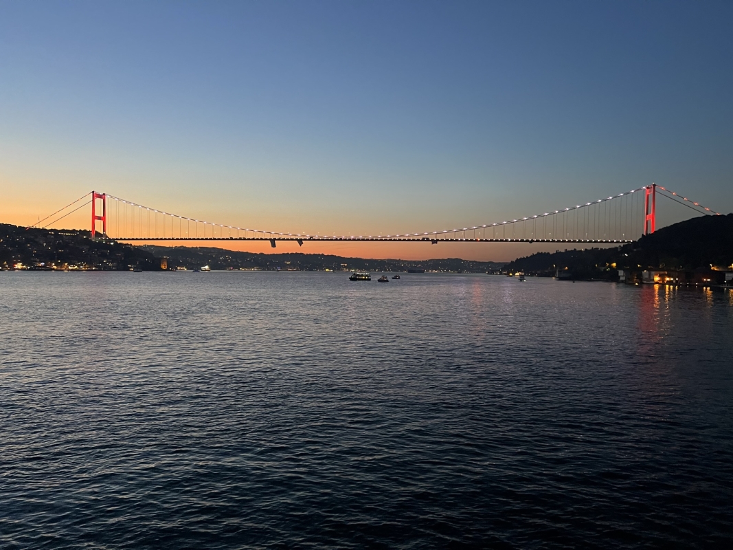 Luxury Bosphorus Sunset Yacht Cruise from Istanbul photo 4