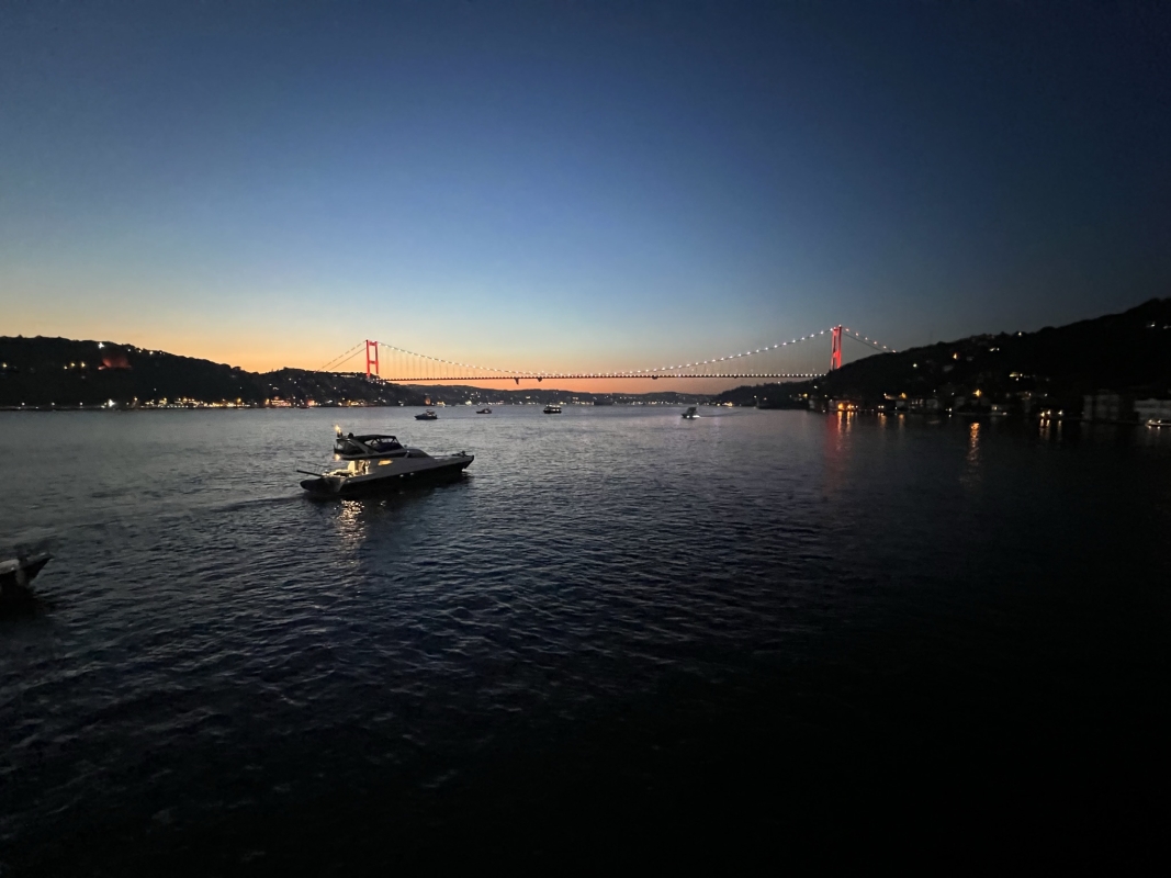 Luxury Bosphorus Sunset Yacht Cruise from Istanbul photo 6