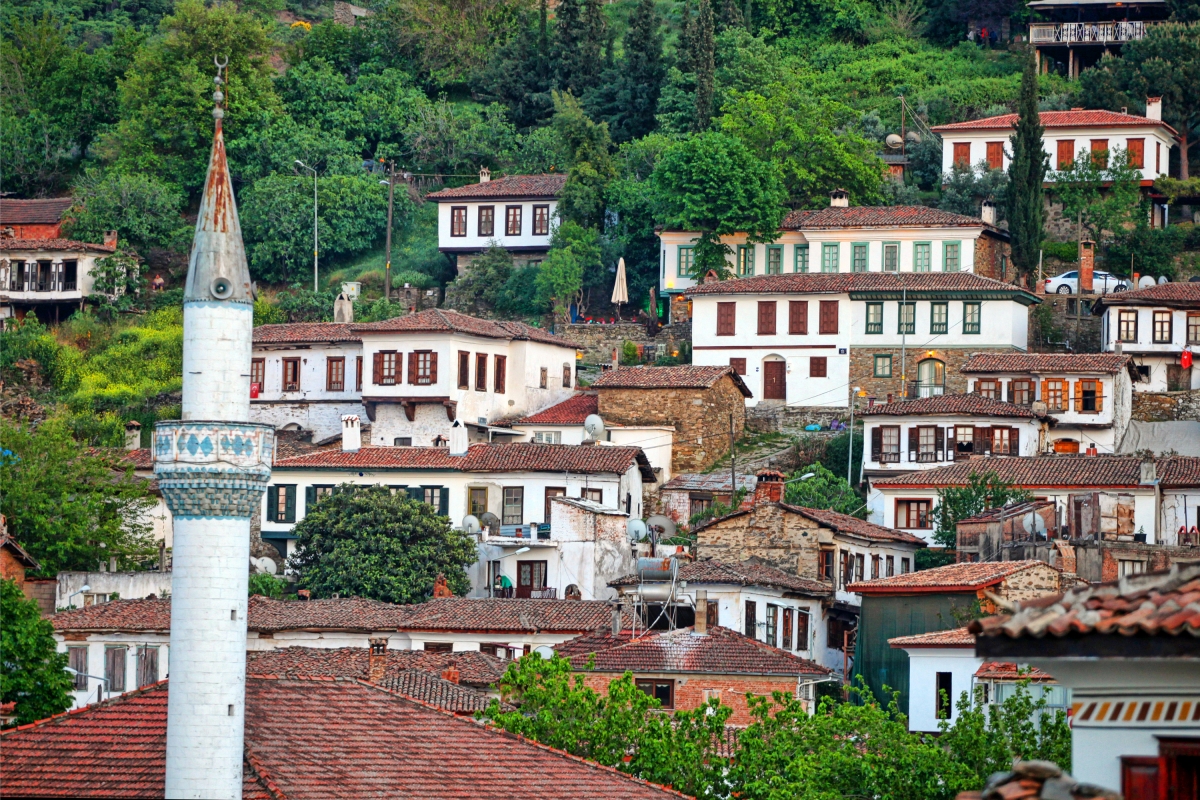 8 Days Indian Masala Tour Turkey photo 7