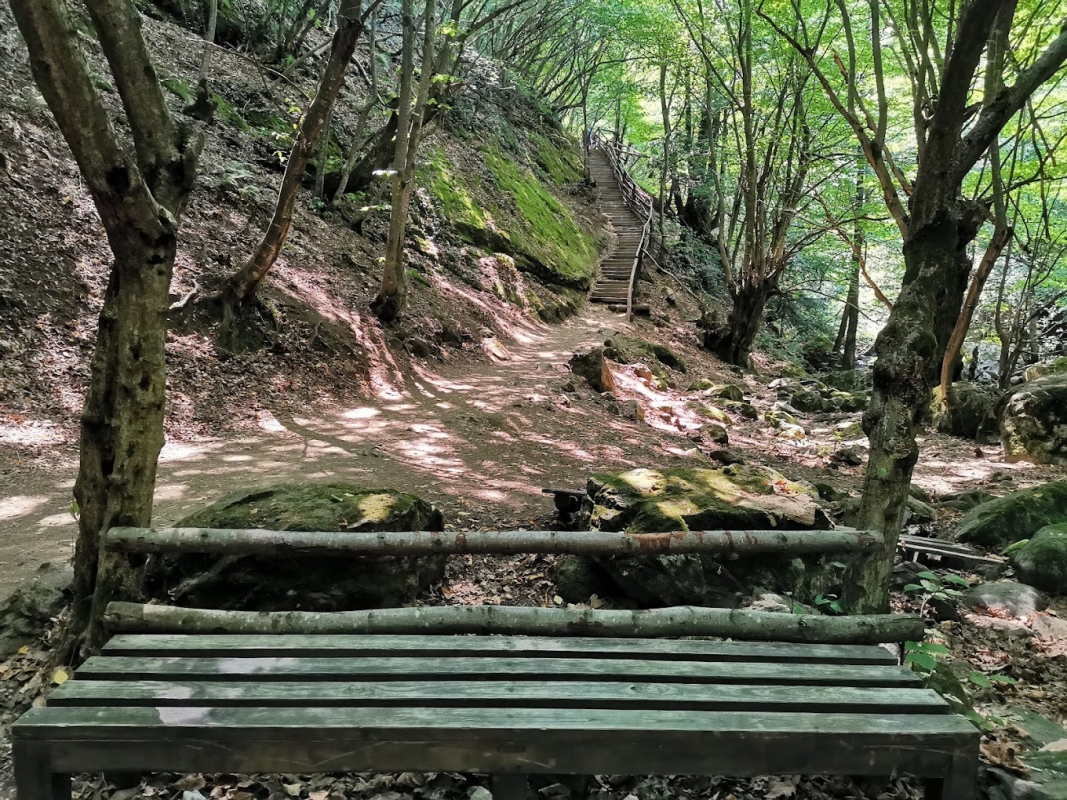 Trekking in Erikli Plateau and Erikli Waterfalls photo 4