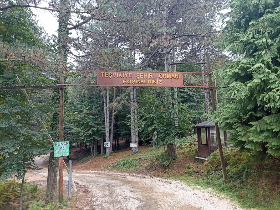 Trekking in Erikli Plateau and Erikli Waterfalls photo 6