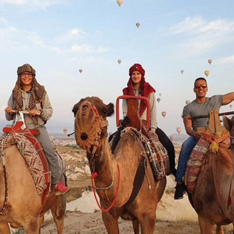 Cappadocia Camel Riding (Including Transfer) photo 2