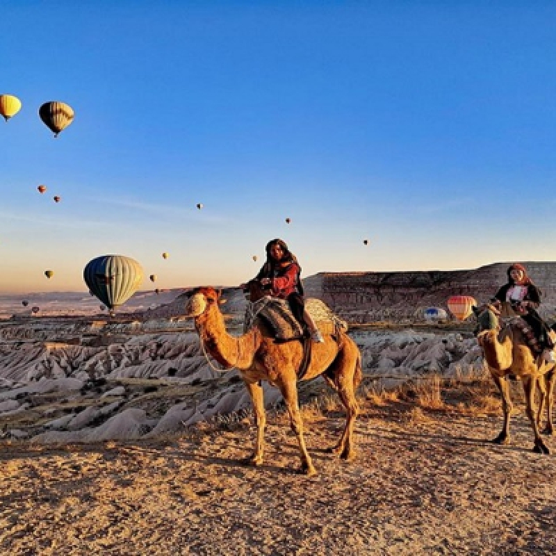Cappadocia Camel Riding (Including Transfer) photo 1