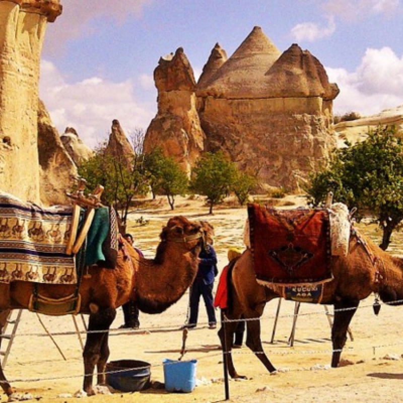 Cappadocia Camel Riding (Including Transfer) photo 3