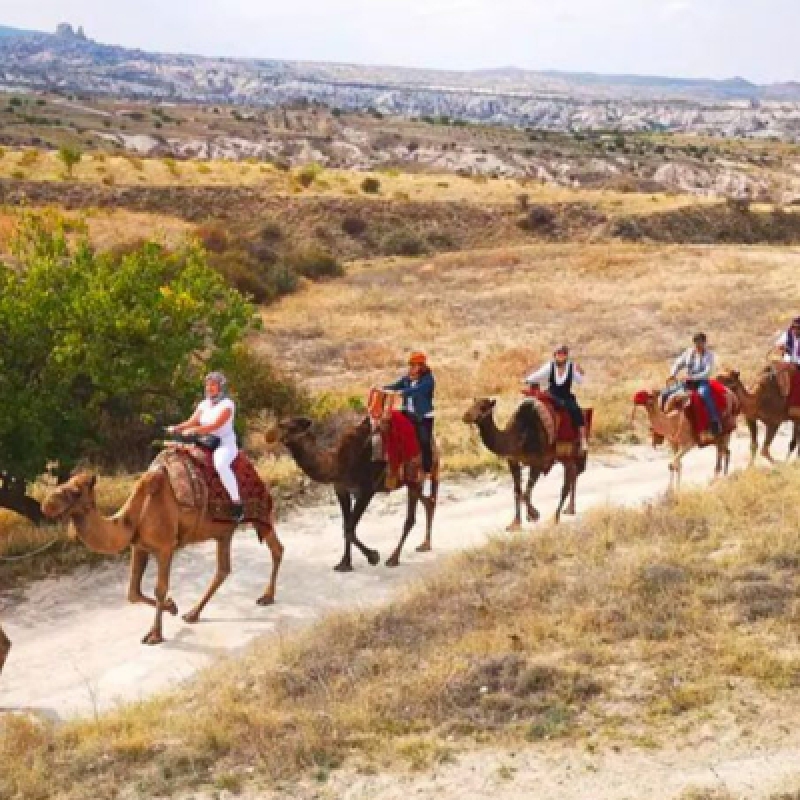 Cappadocia Camel Riding (Including Transfer) photo 8