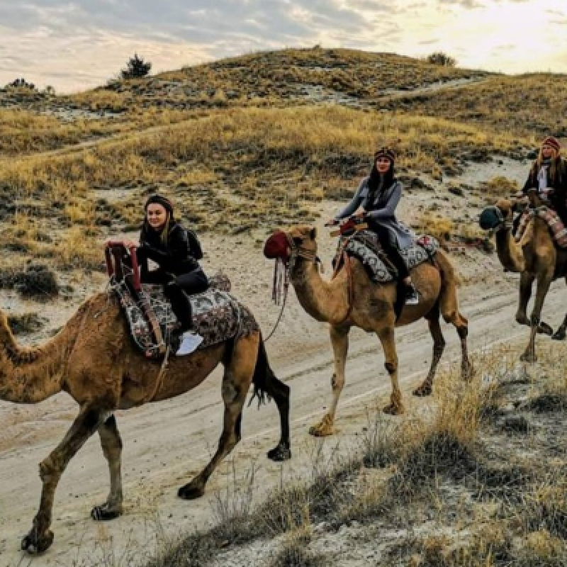 Cappadocia Camel Riding (Including Transfer) photo 10