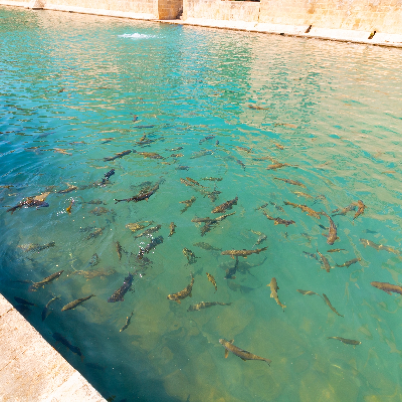 Daily Sanliurfa City Tour from Mardin photo 3