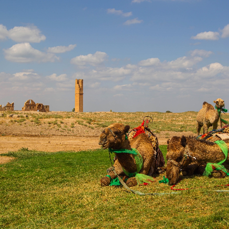 Daily Sanliurfa City Tour photo 4