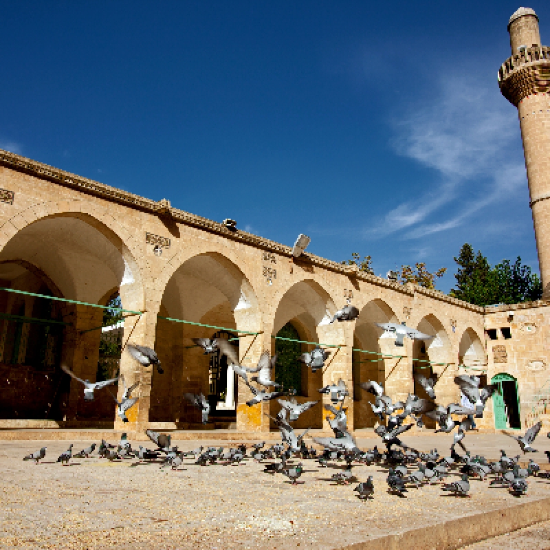 Daily Sanliurfa City Tour from Diyarbakir photo 4