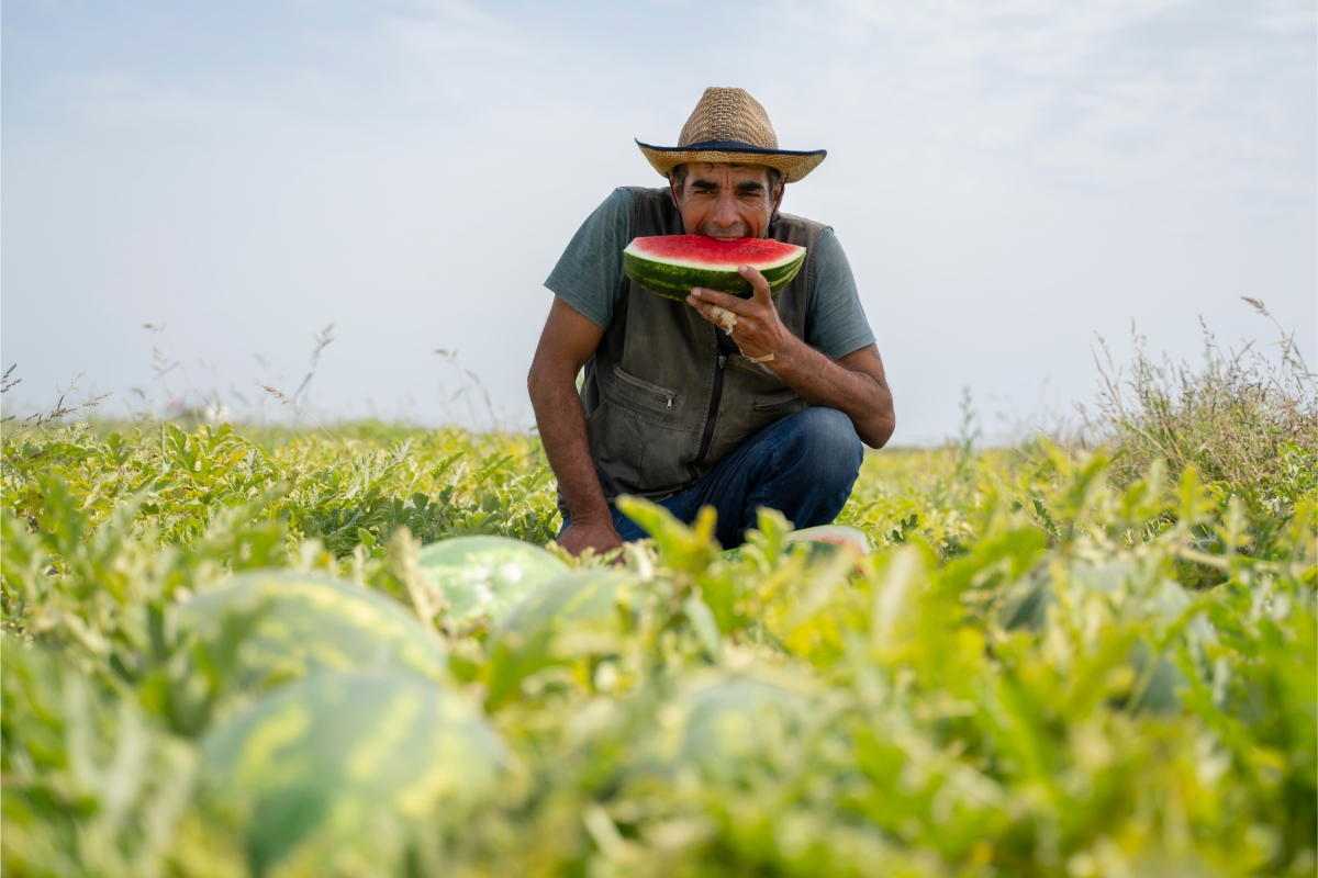 7 Day Greater Anatolia Tour photo 9