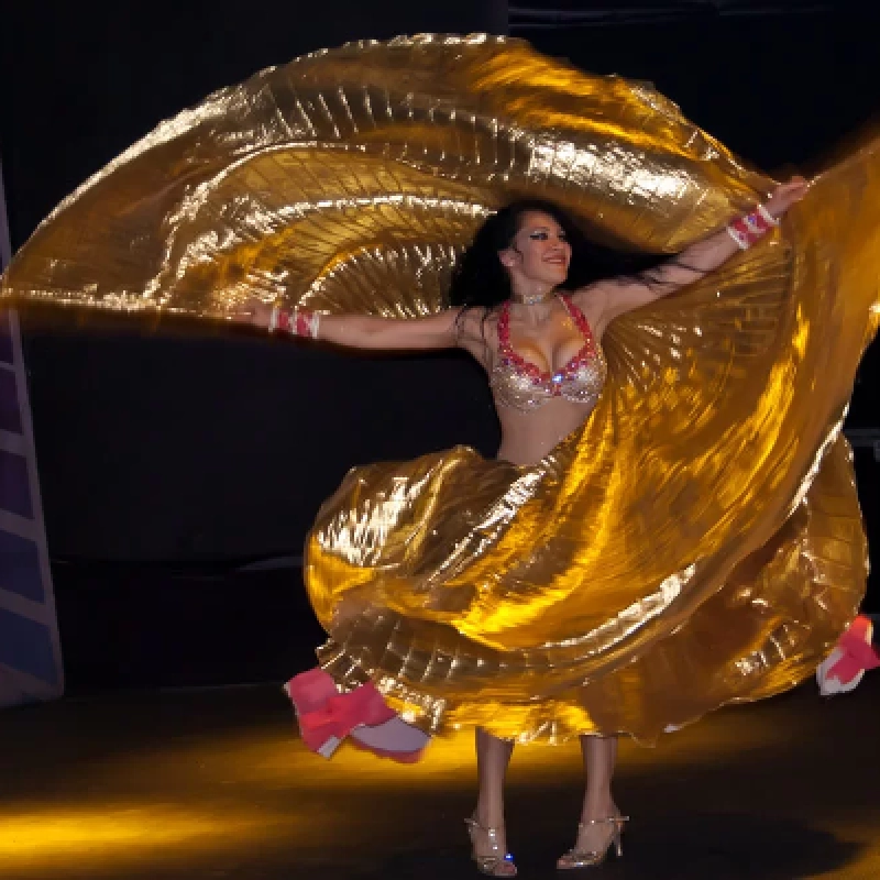 Cappadocia Turkish Night Show with Transfer