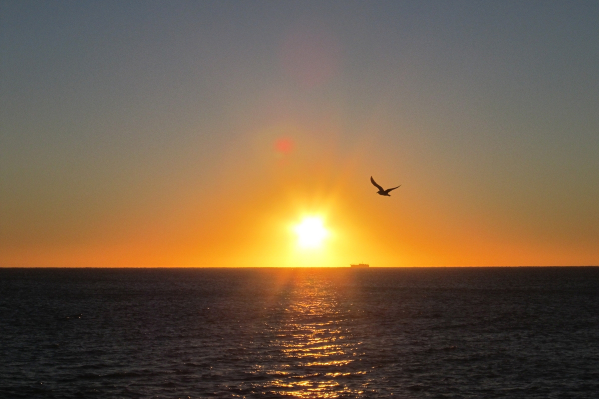 Romantic Sunset & Moonlight Dinner Cruise in Fethiye – St. Nicholas Island Evening Tour photo 10