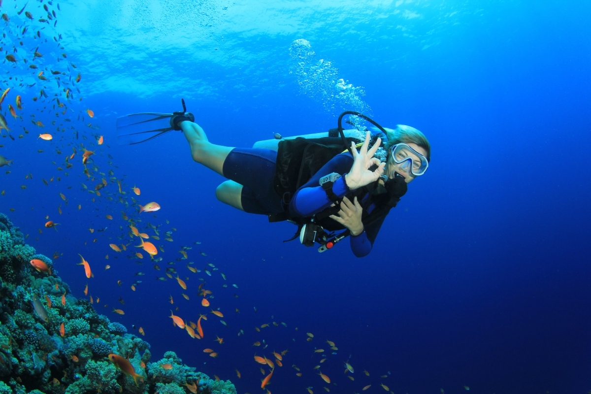 Daily Scuba Diving Tour in Fethiye – Explore the Crystal Clear Waters of the Mediterranean photo 4