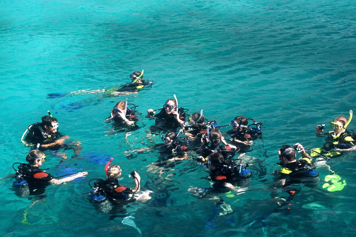 Daily Scuba Diving Tour in Fethiye – Explore the Crystal Clear Waters of the Mediterranean photo 5