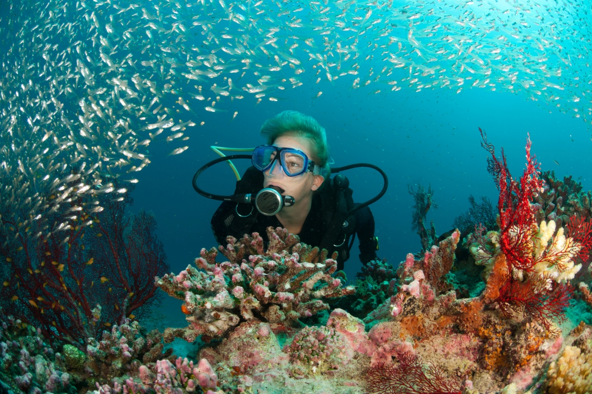 Daily Scuba Diving Tour in Fethiye – Explore the Crystal Clear Waters of the Mediterranean photo 7