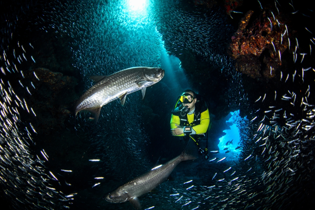 Daily Scuba Diving Tour in Fethiye – Explore the Crystal Clear Waters of the Mediterranean photo 10