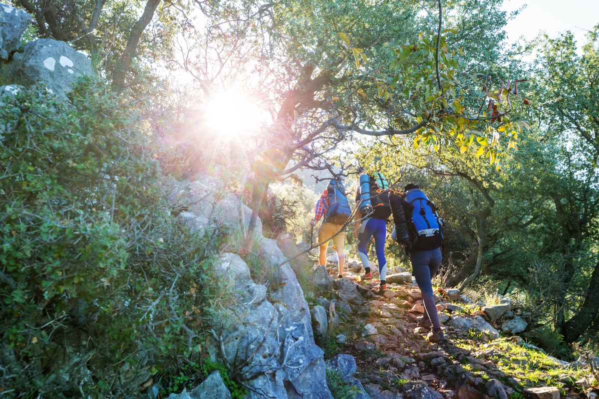 Daily Lycian Tour from Fethiye – Explore Letoon, Xanthos & Patara Beach photo 10