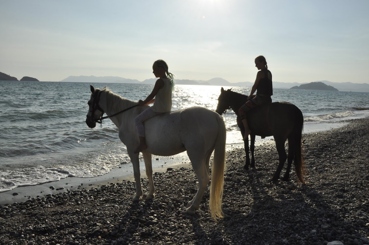 Daily Fethiye Horse Riding Tour photo 2