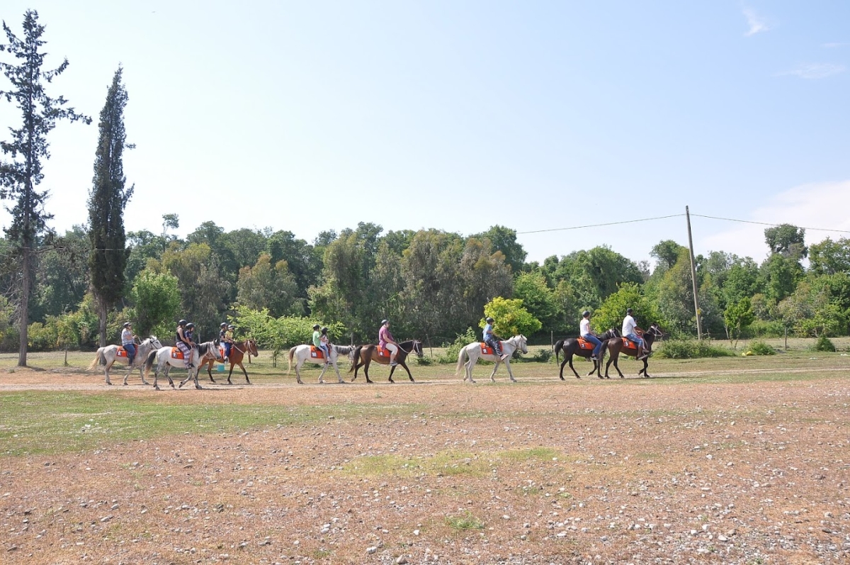 Daily Fethiye Horse Riding Tour photo 3