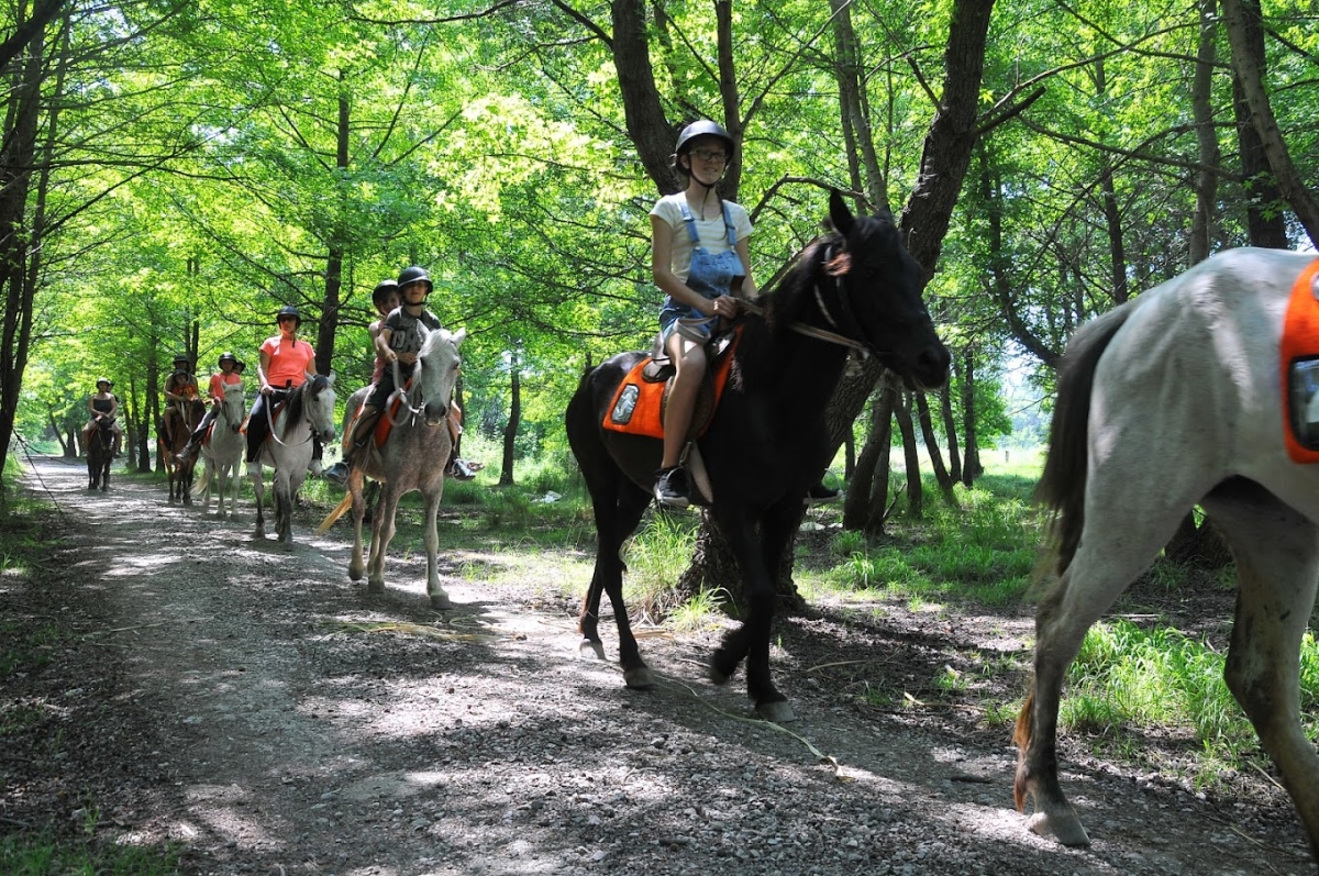 Daily Fethiye Horse Riding Tour photo 5