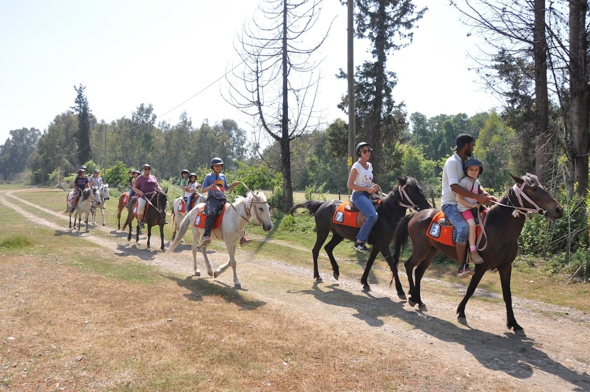 Daily Fethiye Horse Riding Tour photo 8