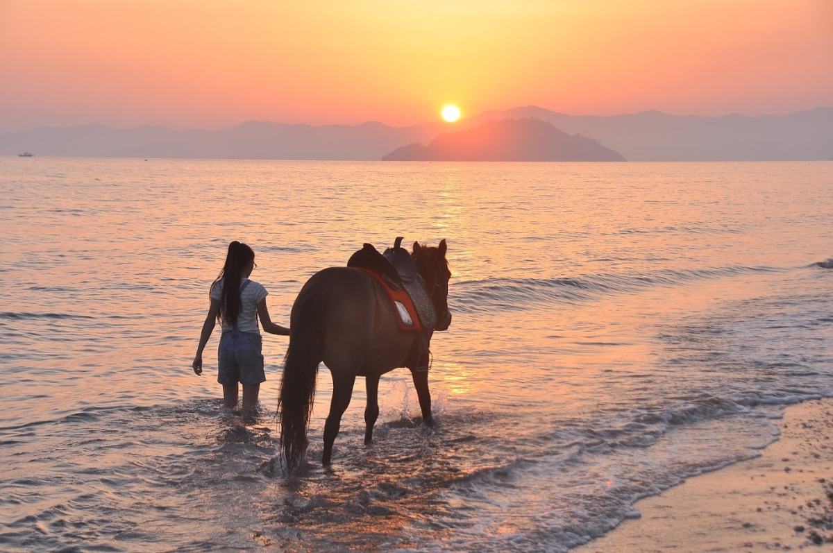 Daily Fethiye Horse Riding Tour photo 9