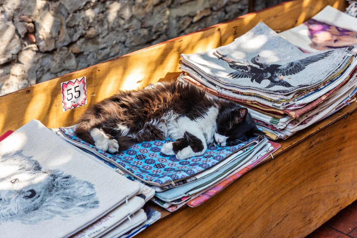 Daily Fethiye Tuesday Market Tour photo 3