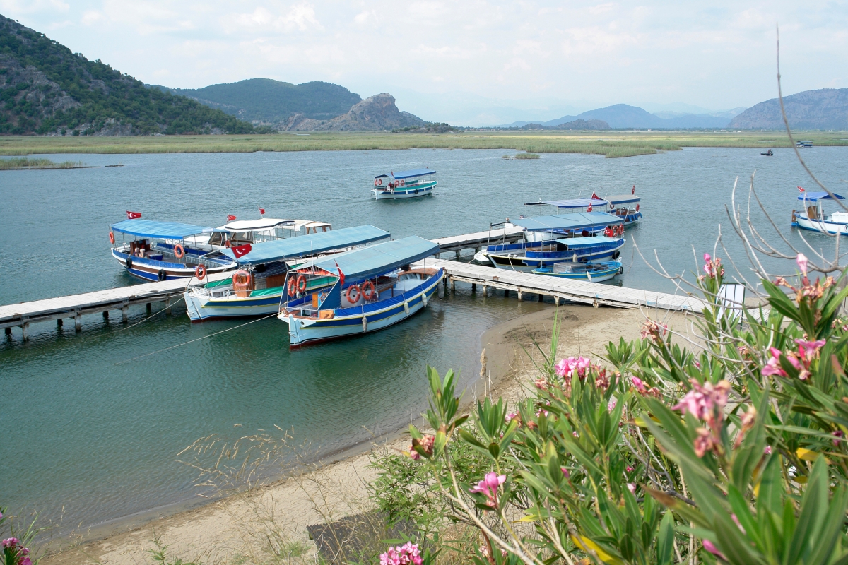 Dalyan River Cruise, Mud Baths & Iztuzu Beach Day Tour from Fethiye photo 9