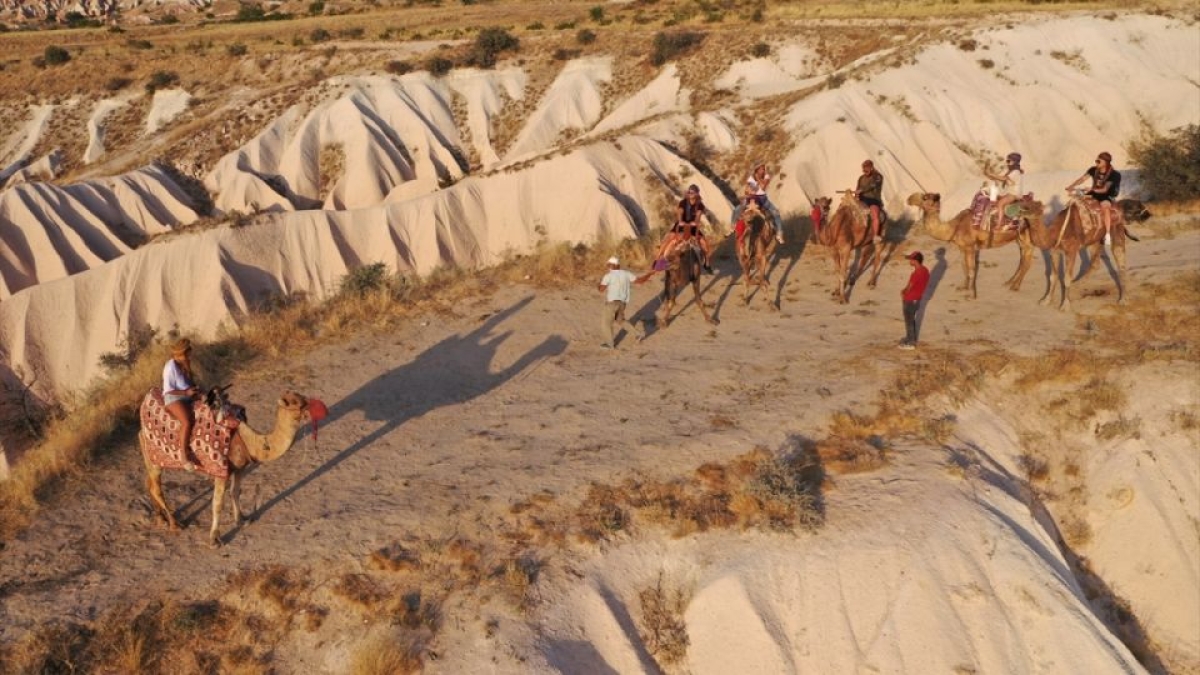 Cappadocia Two Hours Camel Riding With Sunrise Or Sunset Option photo 6