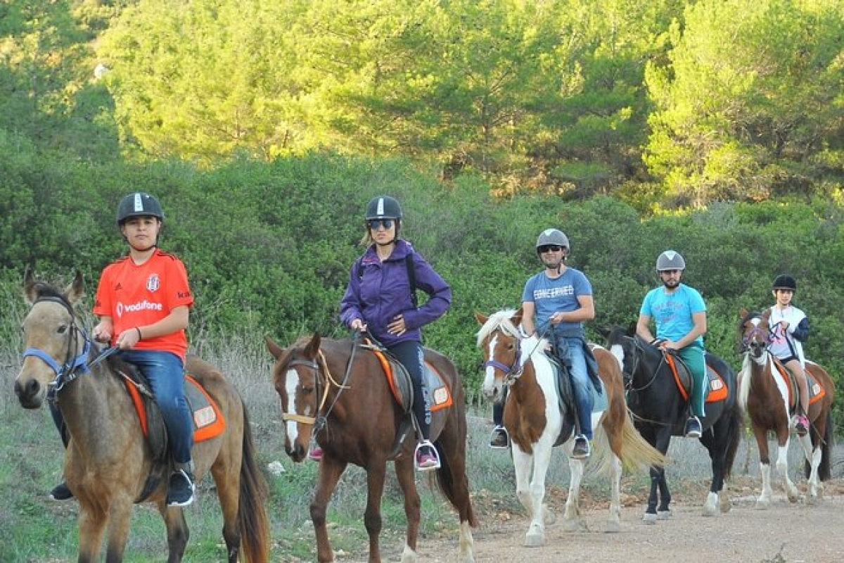 Ephesus Full-Day Tour with Horse Safari from Kusadasi Cruise Port max 10 people photo 1