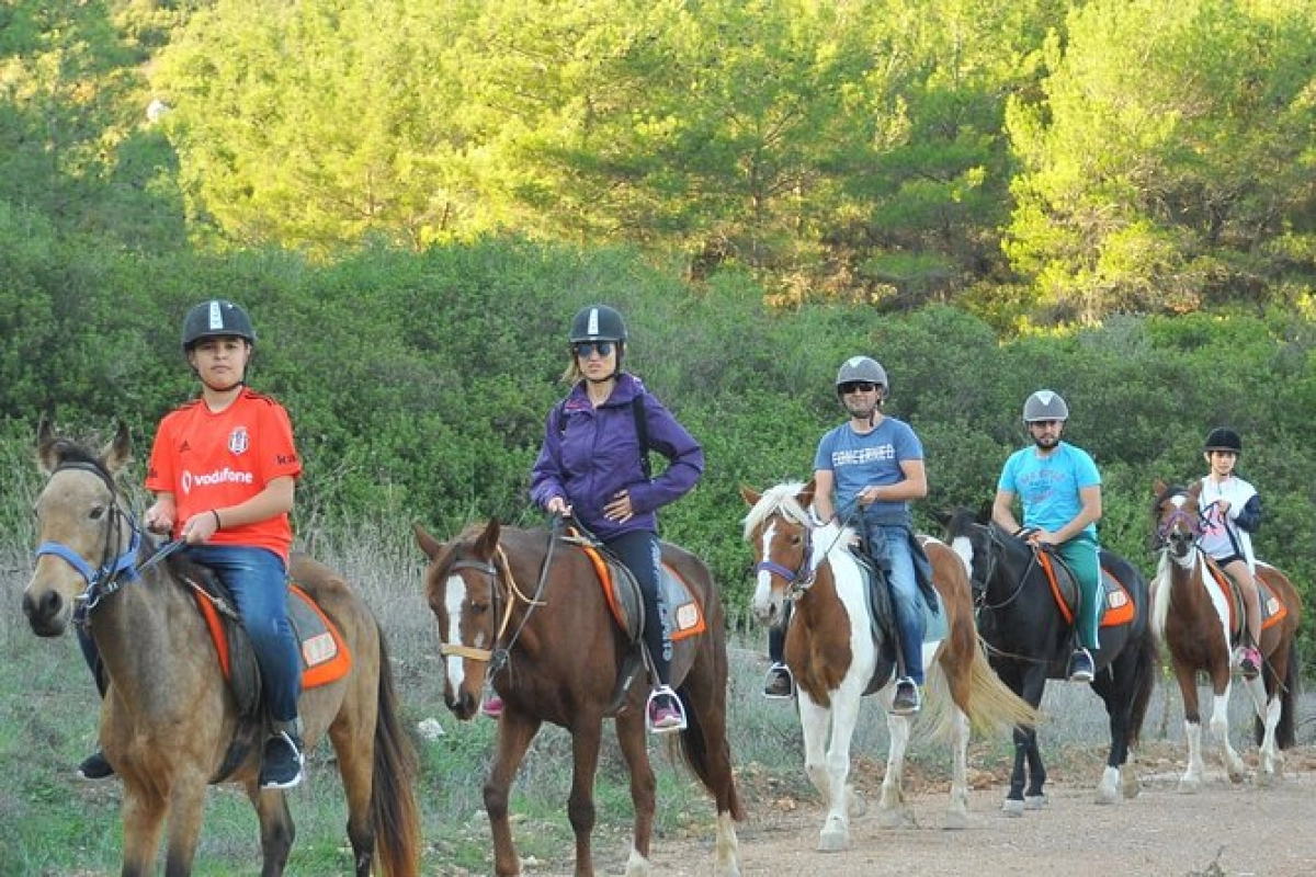 Ephesus Full-Day Tour with Horse Safari from Kusadasi Cruise Port max 10 people