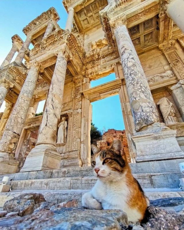 3 Days Istanbul to Ephesus Pamukkale and Didyma Tours photo 1