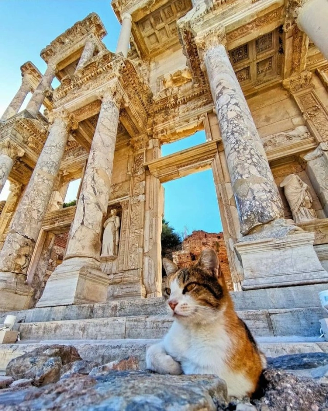 3 Days Istanbul to Ephesus Pamukkale and Didyma Tours