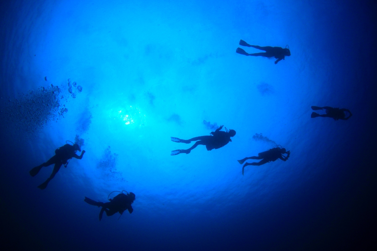 Daily Cesme Scuba Diving Tour photo 7