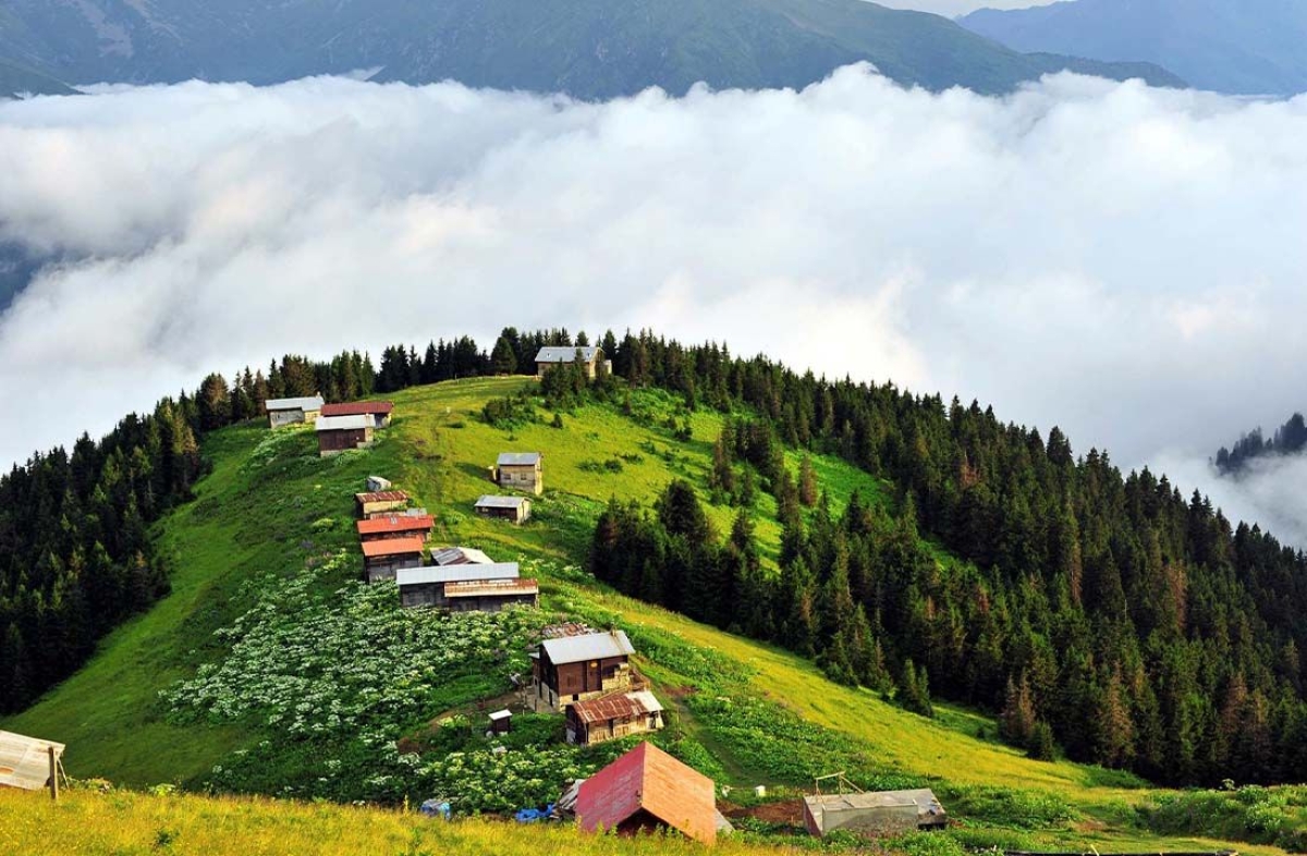 Daily Pokut - Sal Plateau Tour from Trabzon photo 1