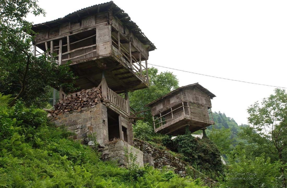 Daily Pokut - Sal Plateau Tour from Trabzon photo 5