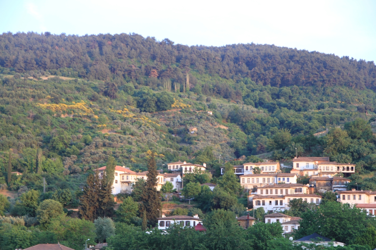 4 Days Istanbul & Kusadasi Diwali Tour 2025 photo 6