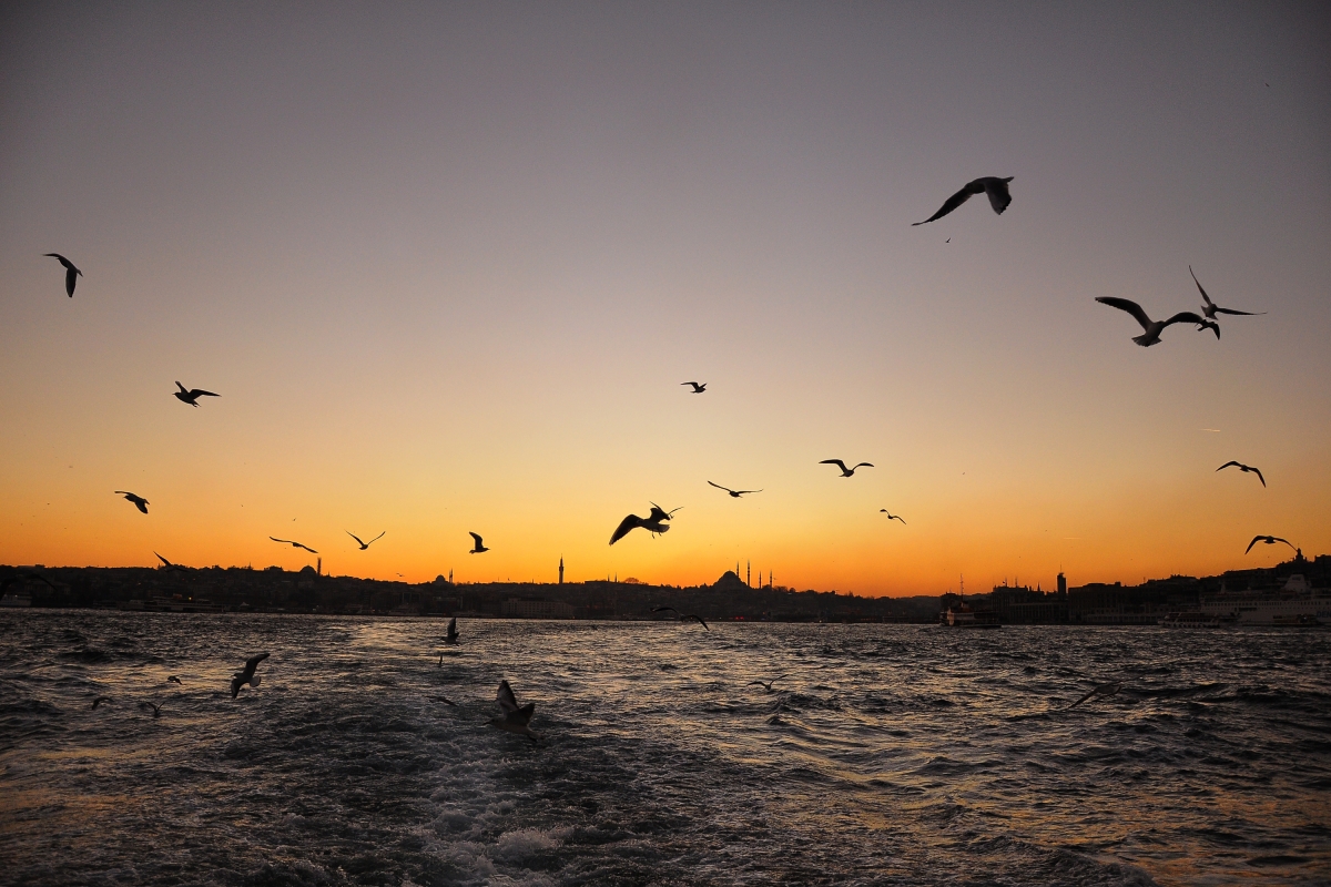 3 Day 2 Night Istanbul Hotel Accommodation and Transportation photo 10