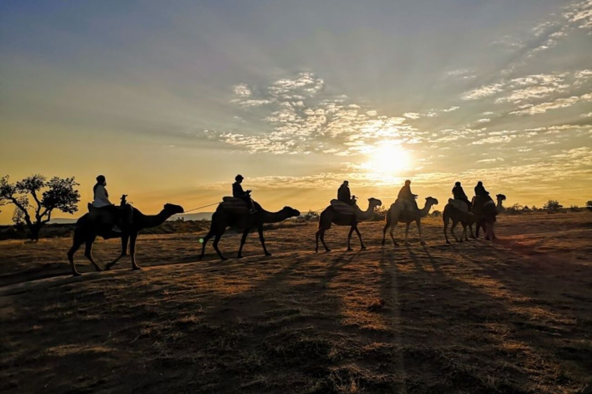 Cappadocia Sunrise/Sunset Or Day Option Camel Ride Including Hotel Round Transfer photo 6