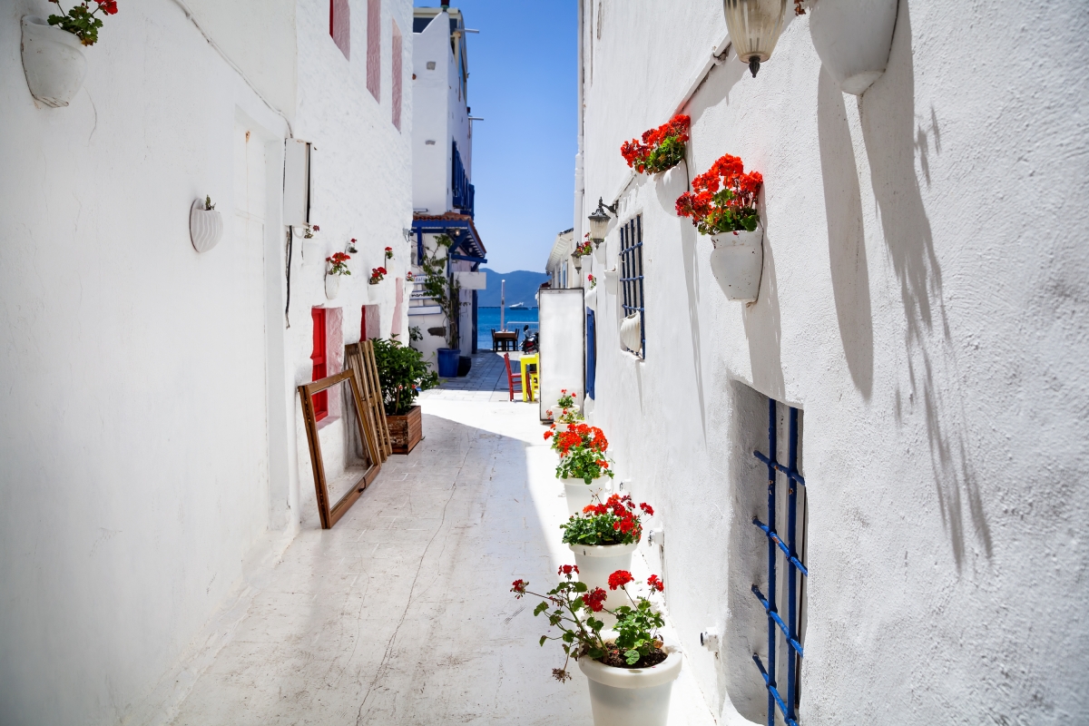 6 Days Bodrum Aegean Dream Vacation photo 6