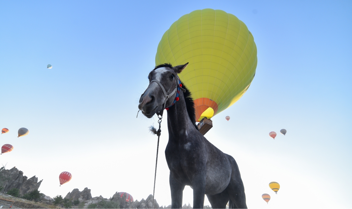 4 Day Turkey Cappadocia Istanbul Tour Packages photo 1