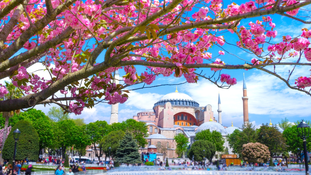 6 Days Special Istanbul City Tour photo 4